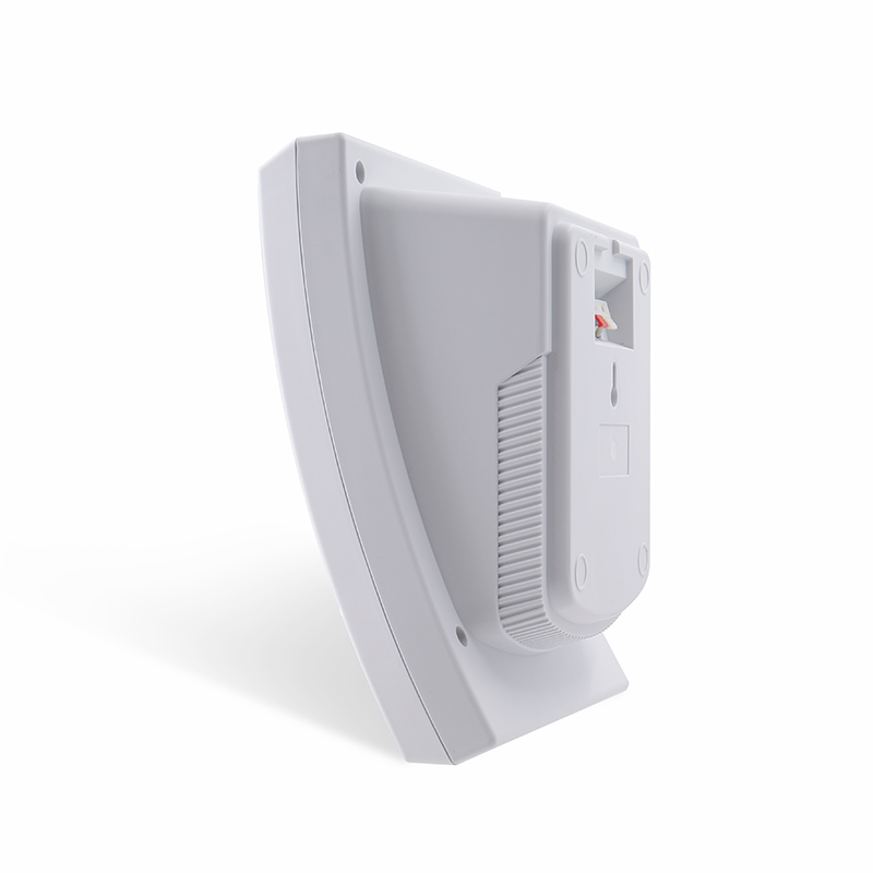 outdoor speaker detail view